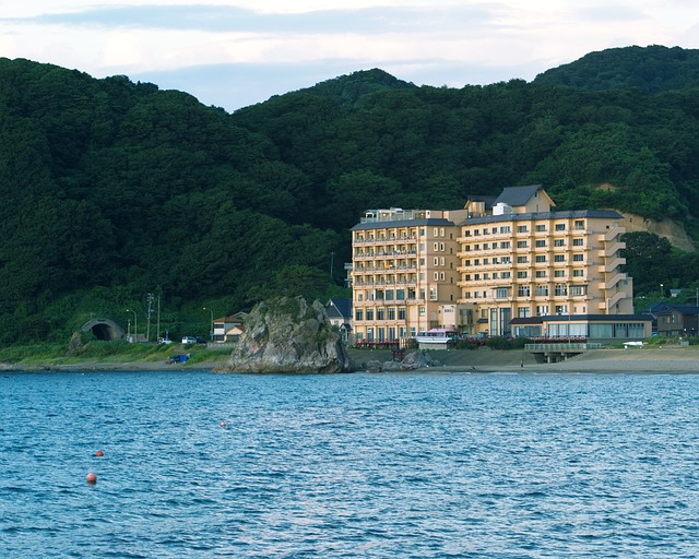 Ryokans and Hotels